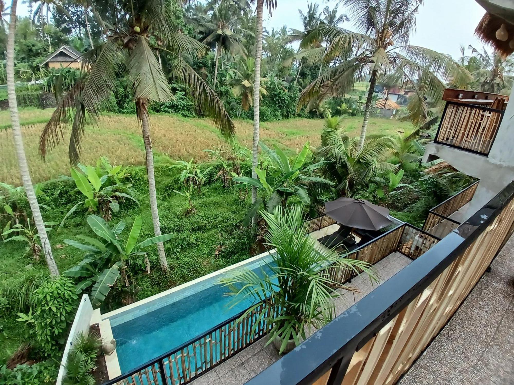 Bali View Ubud Hotel Exterior photo